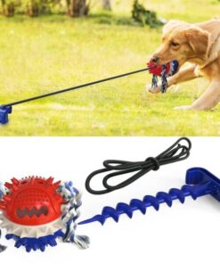 Dog Chew Toy,Chew Toy,Dog Chew,Toy,Outdoor Dog