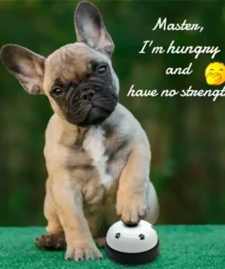 Pet Dinner Reminder Toy