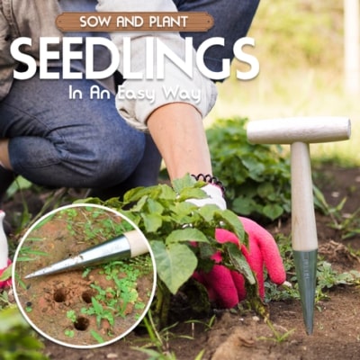 Wooden Handle Plant Seed Cultivation Hole Punch,garden tool,wooden handle,Hole Punch,Seed Cultivation