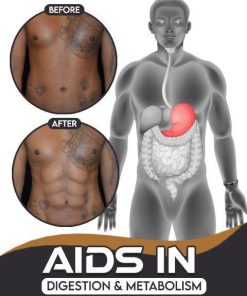 Magnetic Therapy Fit Plus Bracelet,Magnetic Therapy Bracelet,Magnetic bracelet,Fit Plus Bracelet,Magnetic Therapy