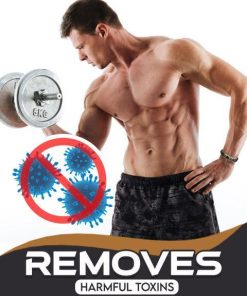 Magnetic Therapy Fit Plus Bracelet,Magnetic Therapy Bracelet,Magnetic bracelet,Fit Plus Bracelet,Magnetic Therapy