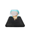 Cat Litter Mat