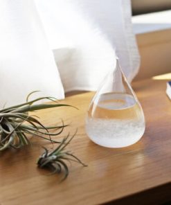 Storm Glass,Weather Predicting Storm,Weather Predicting,Storm,Predicting