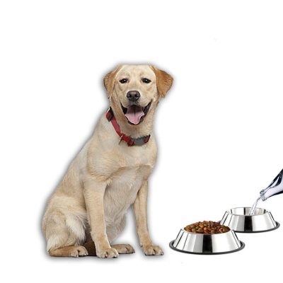 Stainless Steel Dog Bowl,Dog Bowl,Stainless Steel