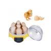 Mini Egg Incubator,Egg Incubator,Mini Egg