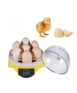 Mini Egg Incubator,Egg Incubator,Mini Egg