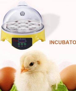 Mini Egg Incubator,Egg Incubator,Mini Egg