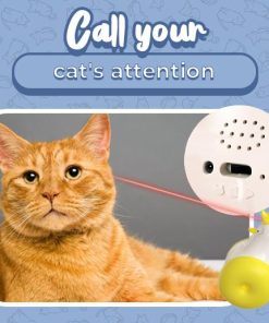 Rooster Type Laser Cat Toy,Rooster Type,Laser Cat Toy,Cat Toy