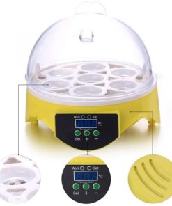 Mini Egg Incubator,Egg Incubator,Mini Egg