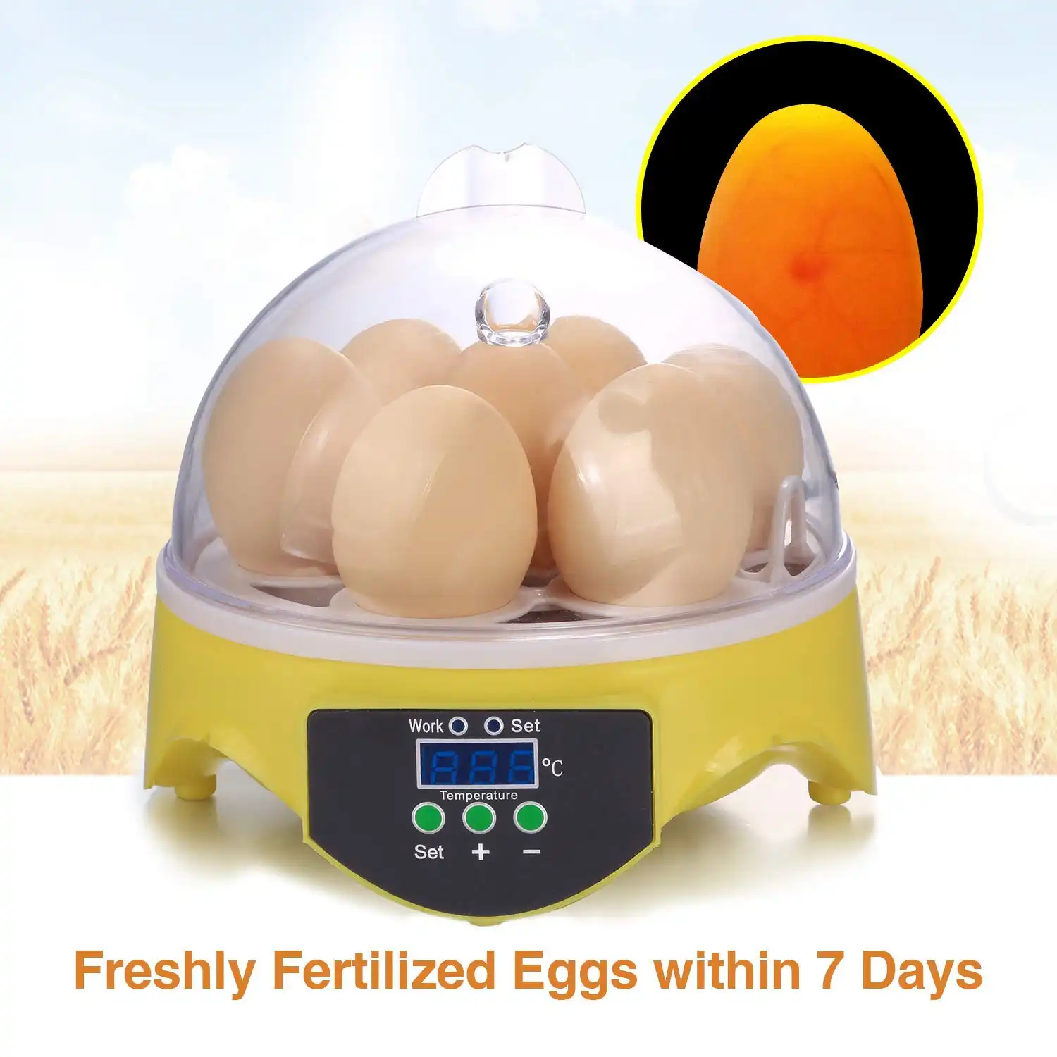 Mini Egg Incubator,Egg Incubator,Mini Egg