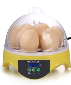 Mini Egg Incubator,Egg Incubator,Mini Egg