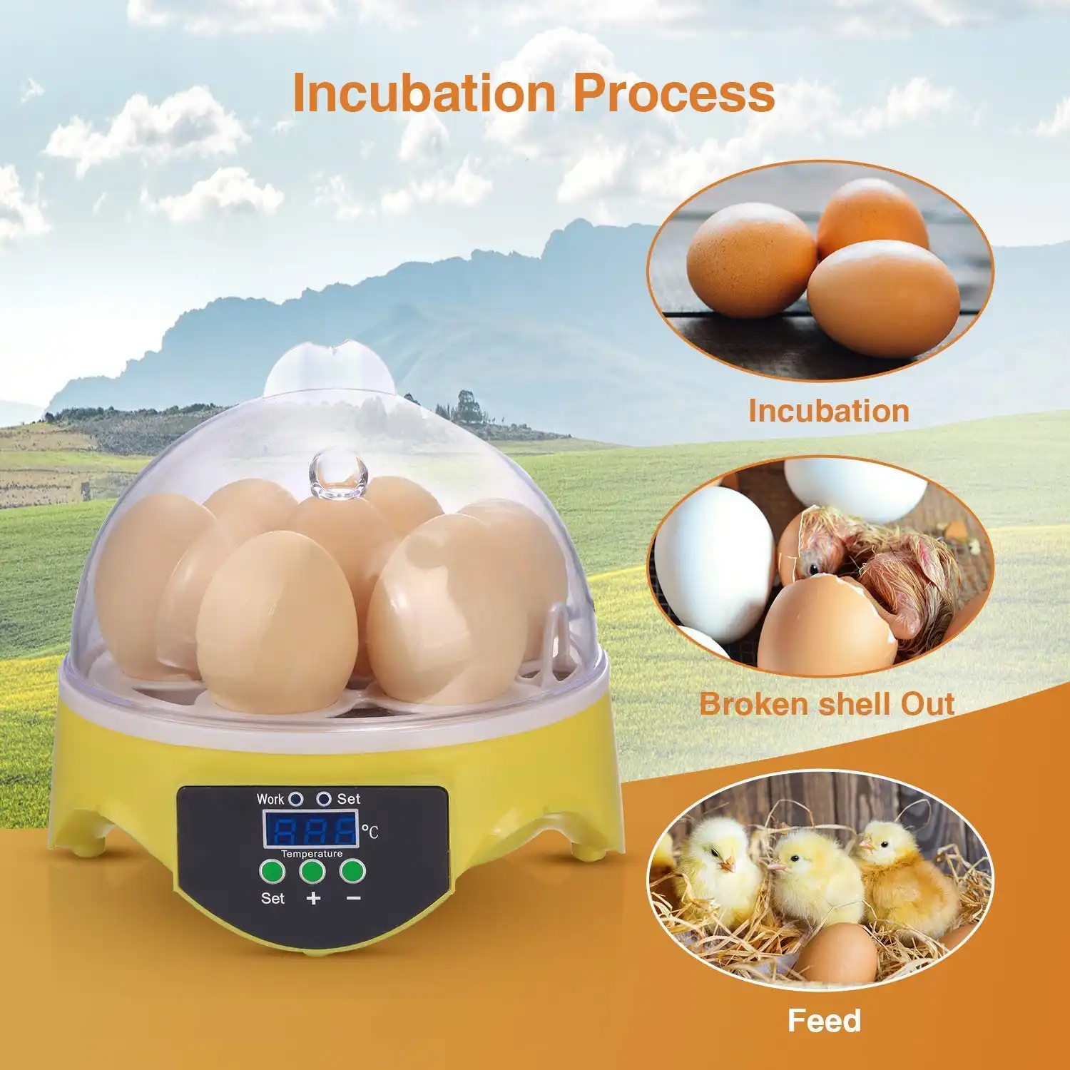Mini Egg Incubator,Egg Incubator,Mini Egg