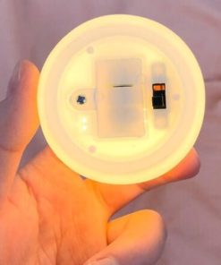 Pearl Night Light,Ceramic Shell Lamp,Night Light,Pearl Night,Lamp Pearl