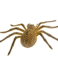 Animals Skeleton,Skeleton Ornament,Ornament Decor