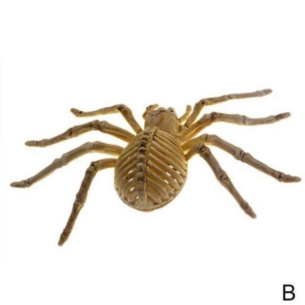 Animals Skeleton,Skeleton Ornament,Ornament Decor