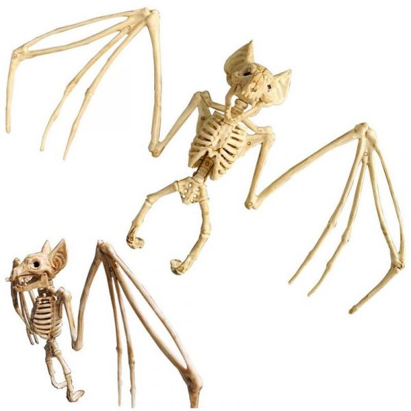 Animals Skeleton,Skeleton Ornament,Ornament Decor