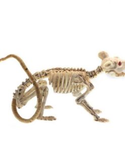 Animals Skeleton,Skeleton Ornament,Ornament Decor