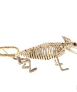 Animals Skeleton,Skeleton Ornament,Ornament Decor