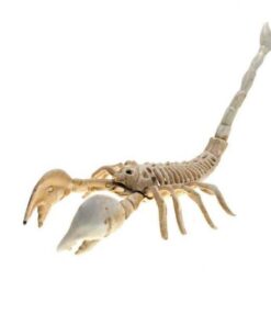 Animals Skeleton,Skeleton Ornament,Ornament Decor