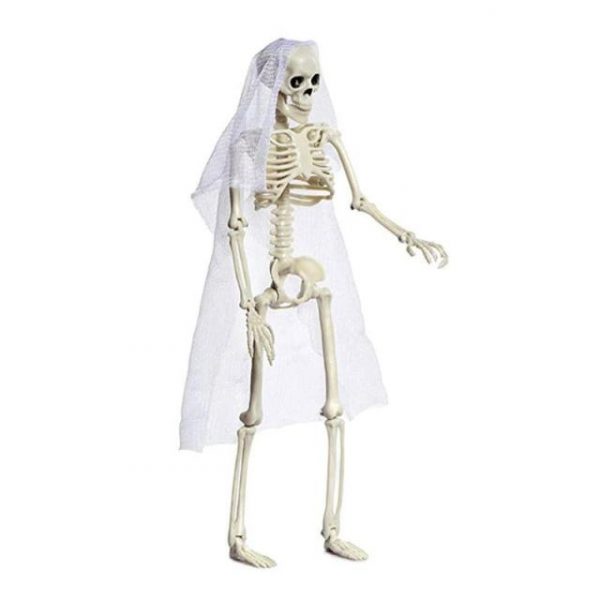 Animals Skeleton,Skeleton Ornament,Ornament Decor