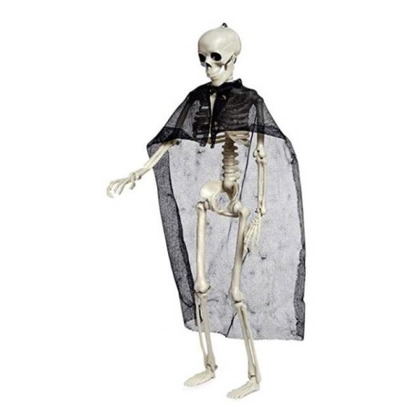 Animals Skeleton,Skeleton Ornament,Ornament Decor