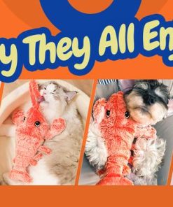 Leaping Lobster Cat Toy,Lobster Cat Toy,Leaping Lobster,Cat Toy