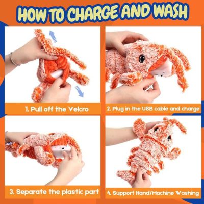 Leaping Lobster Cat Toy,Lobster Cat Toy,Leaping Lobster,Cat Toy