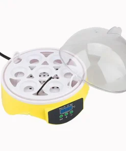 Mini Egg Incubator,Egg Incubator,Mini Egg