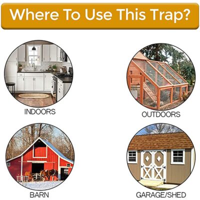 Bucket Mouse Trap,Mouse Trap,Flip N Slide,N Slide,Flip N