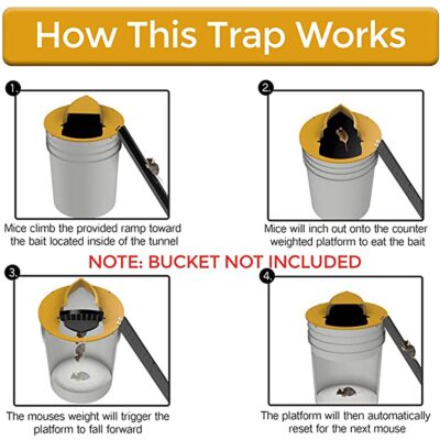 Bucket Mouse Trap,Mouse Trap,Flip N Slide,N Slide,Flip N