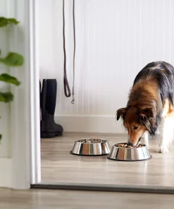 Stainless Steel Dog Bowl,Dog Bowl,Stainless Steel