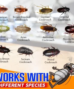 Roach Trap Master,Roach Trap,Trap Master