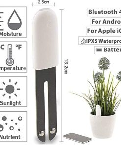 Fruit and Vegetable Slicer,Vegetable Slicer,Fruit and Vegetable