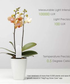 Fruit and Vegetable Slicer,Vegetable Slicer,Fruit and Vegetable