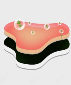 DowagerHump NeckDrain Patch