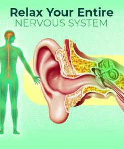 Ear Treatment Cream Ointment,Cream Ointment,Treatment Cream,Ear Treatment