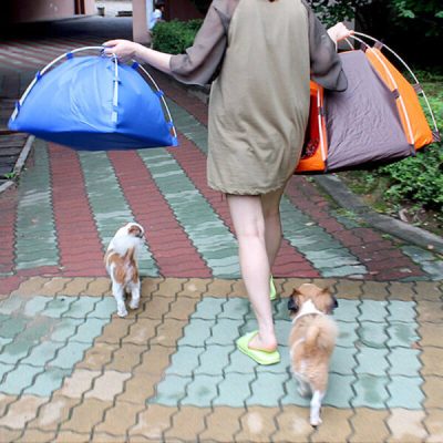 Pop Up Pet Tent,Pet Tent,Pet house,house for cat,Tent