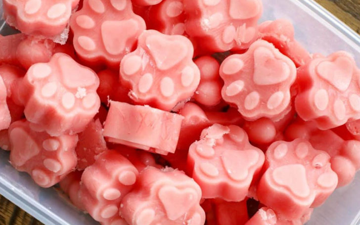 Cats Eat Watermelon,Can Cats Eat Watermelon