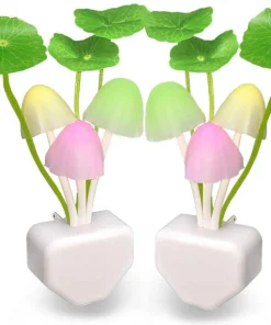 Mushroom Night Light,Lucky Mushroom,,Lucky Mushroom Night Light,Night Light