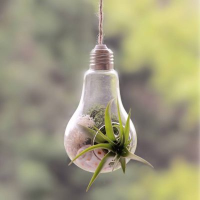Modern Light Bulb,Bulb Planter,Light Bulb Planter,Light Bulb,Modern Light