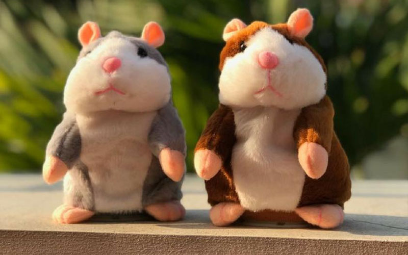 Cool Stuff For Kids,Cool Stuff,Stuff For Kids