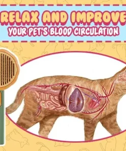 Pet Cleaning Slicker Brush,Pet Cleaning,Slicker Brush,Cleaning Slicker Brush,Pet Cleaning Slicker