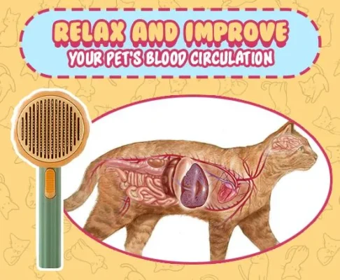 Pet Cleaning Slicker Brush,Pet Cleaning,Slicker Brush,Cleaning Slicker Brush,Pet Cleaning Slicker