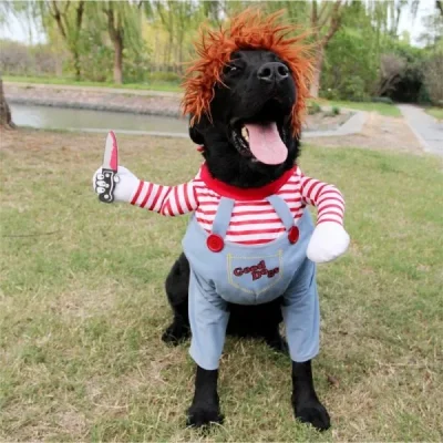 Chucky Dog Costume,Dog Costume,Chucky Dog,Halloween Deady Doll,Halloween