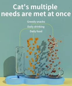 Double Bowl,Pet Double Bowl,Pet Double,Bowl