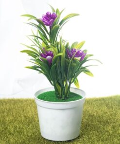 Petal Leaf Succulent