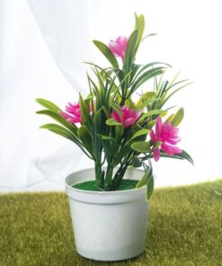 Petal Leaf Succulent