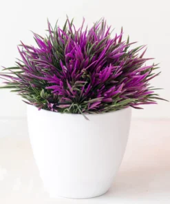 Petal Leaf Succulent