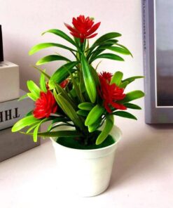 Petal Leaf Succulent