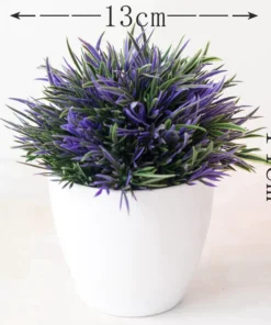 Petal Leaf Succulent